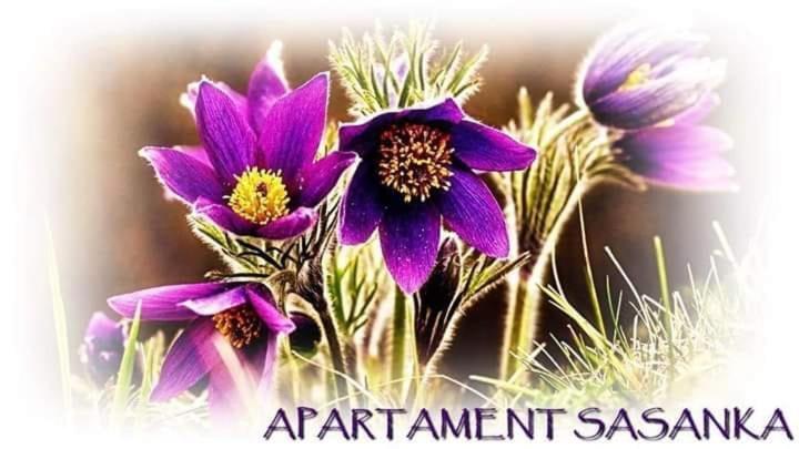 Apartament Sasanka Kowary Exterior photo